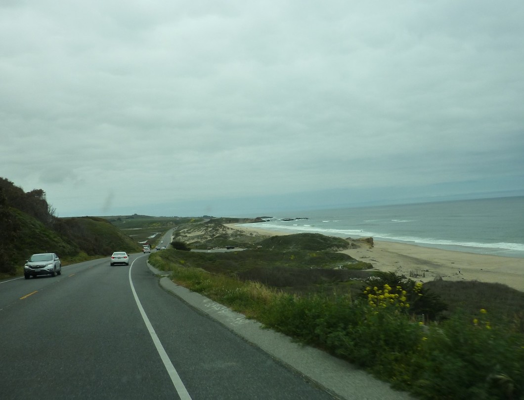 P1020491 (2)
