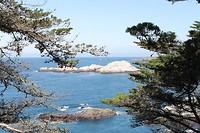 IMG_4942