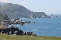 IMG_4946