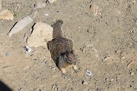 IMG_4979