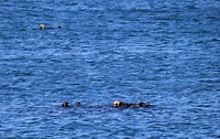 IMG_4994 (2)