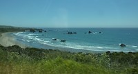 P1020561 (2)