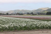 IMG_4998