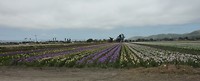 P1020590 (2)