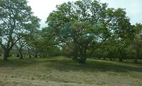 P1020592 (2)