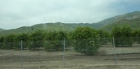 P1020648 (2)