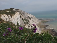 P6260814