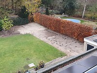 32. Achtertuin