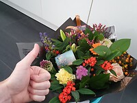 56. Bijzondere bos bloemen