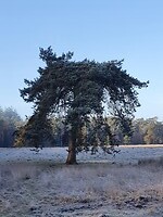 59. Rondje Veluwe 2