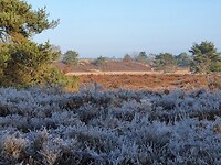 59. Rondje Veluwe 3