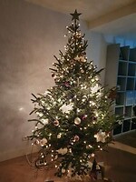 60 Kerstboom