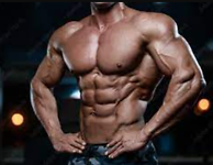 65. Bodybuilder