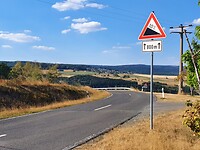 96. Kuitenbijtertje