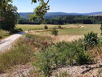 96. Nationalpark Hunsrück-Hochwald