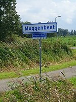 139. Muggenbeet