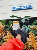 142. Biltstraat