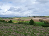 153. Limburgse landschap