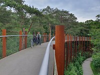 157. Rondje rond de boomtoppen