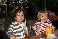 158. Center Parcs De Limburgse Peel