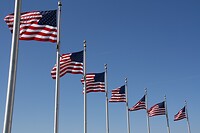 159. Amerika