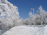 159. Niagara falls (2)