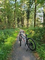 163. Mountainbike