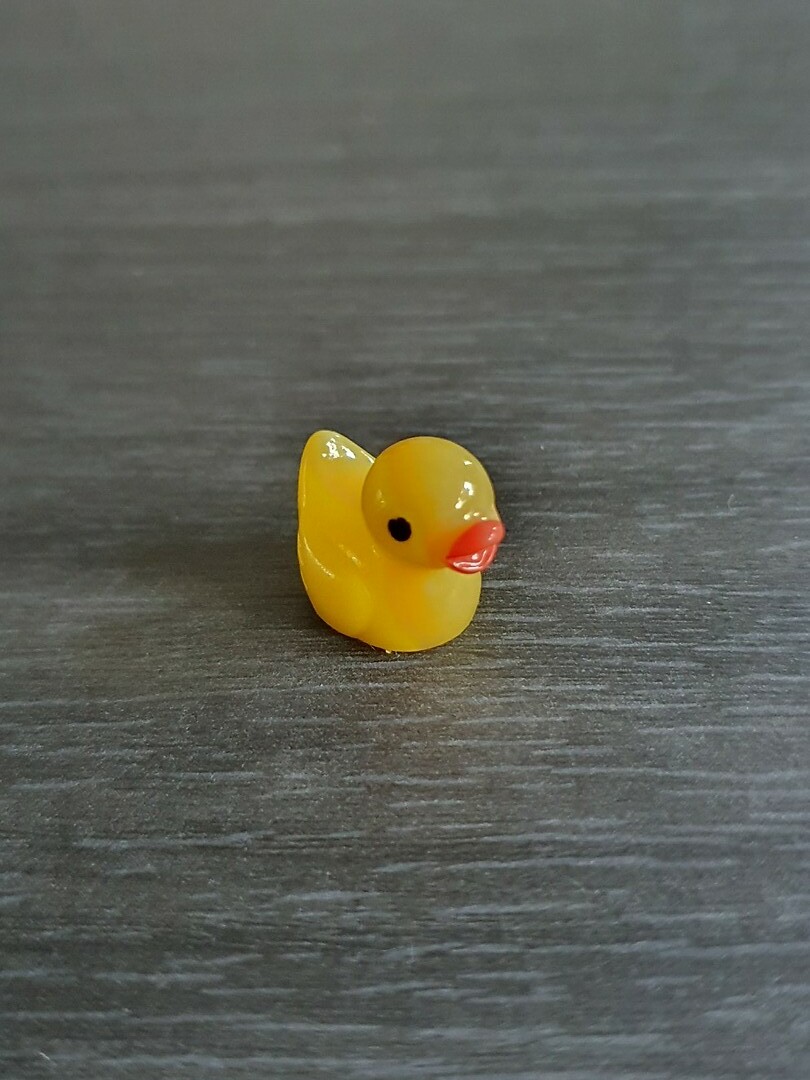 166. Eendje