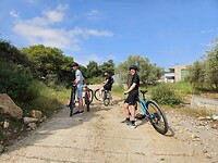 195. Mountainbikes