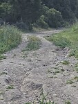 195. Off-road
