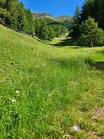 210. Giro 'Vista sulle Dolomiti' 4