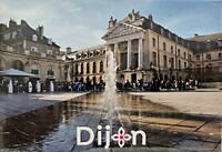 212. Magneet Dijon