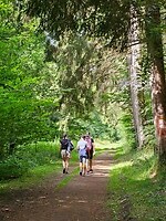 213. Wandeltocht Larochette