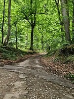 214. Fietstocht 2