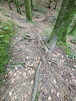 214. Fietstocht 6