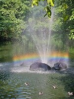 215. Oberhausen dierentuin