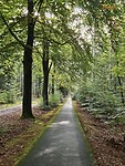 230. Nationaal park Drentsche Aa