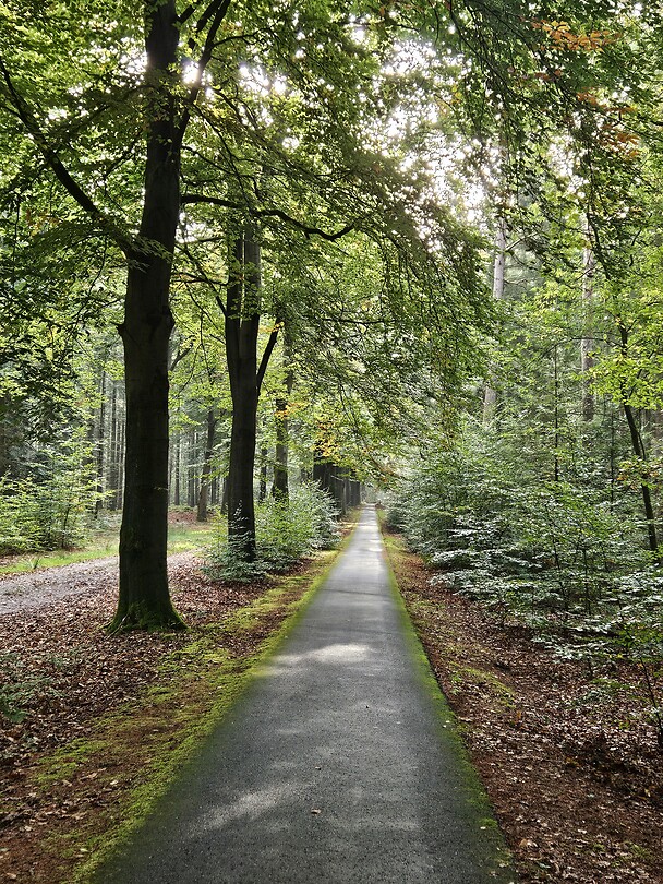 230. Nationaal park Drentsche Aa