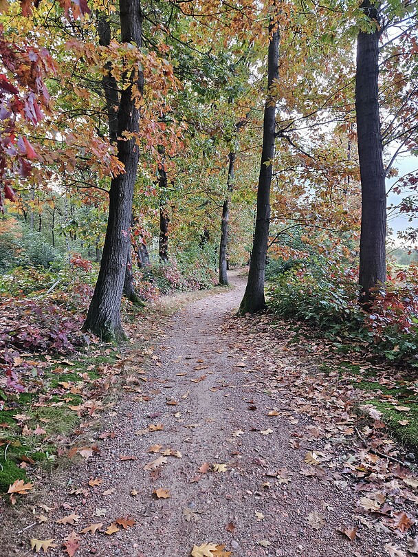 231. Nijverdal 1