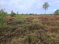 231. Nijverdal 2