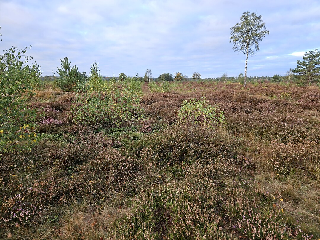 231. Nijverdal 2