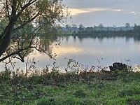 232. Maas