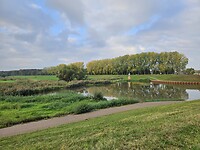 232. Wanssum