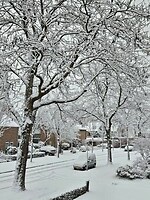 240. Sneeuw voor