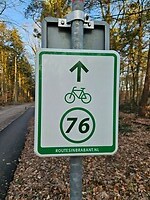 249. (19)76