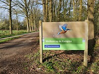 257. Kampina