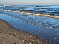 260. Strandwandeling