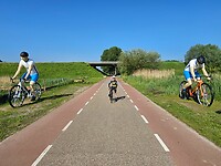 265. Wielrenners