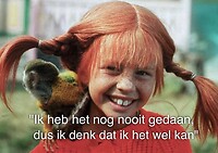 267. Pippie