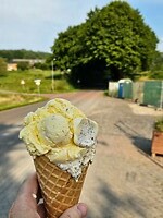279. Ijs Wingbergerhoeve